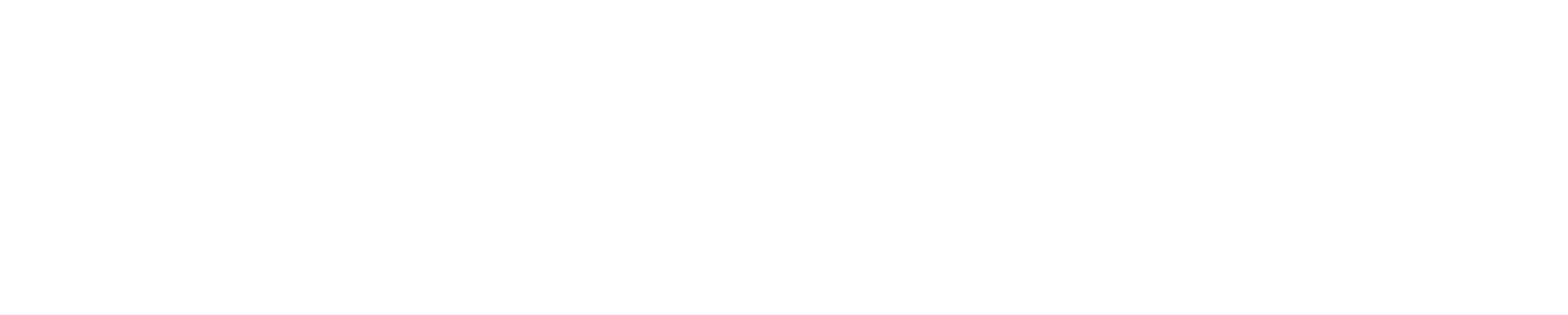 TECDIMEX